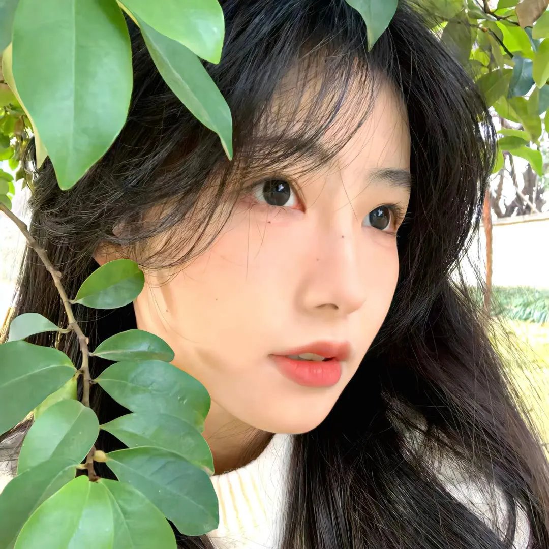 星愿粤语